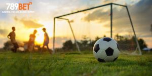 cá cược bóng đá